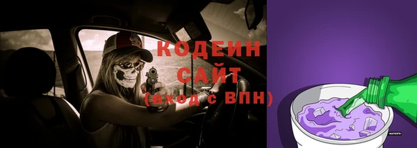 эйфоретик Ельня